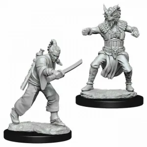 D&D Nolzur's Marvelous Unpainted Miniatures (W8): Human Male Monk